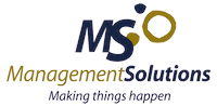 MANAGEMENT SOLUTIONS logo