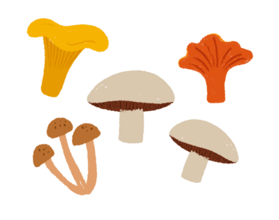 Illustration of mushroom