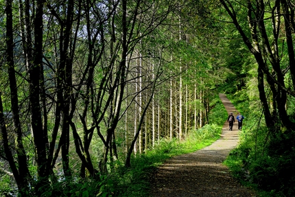 The Kossdal road swirling into the woods, with two hikers. Photo