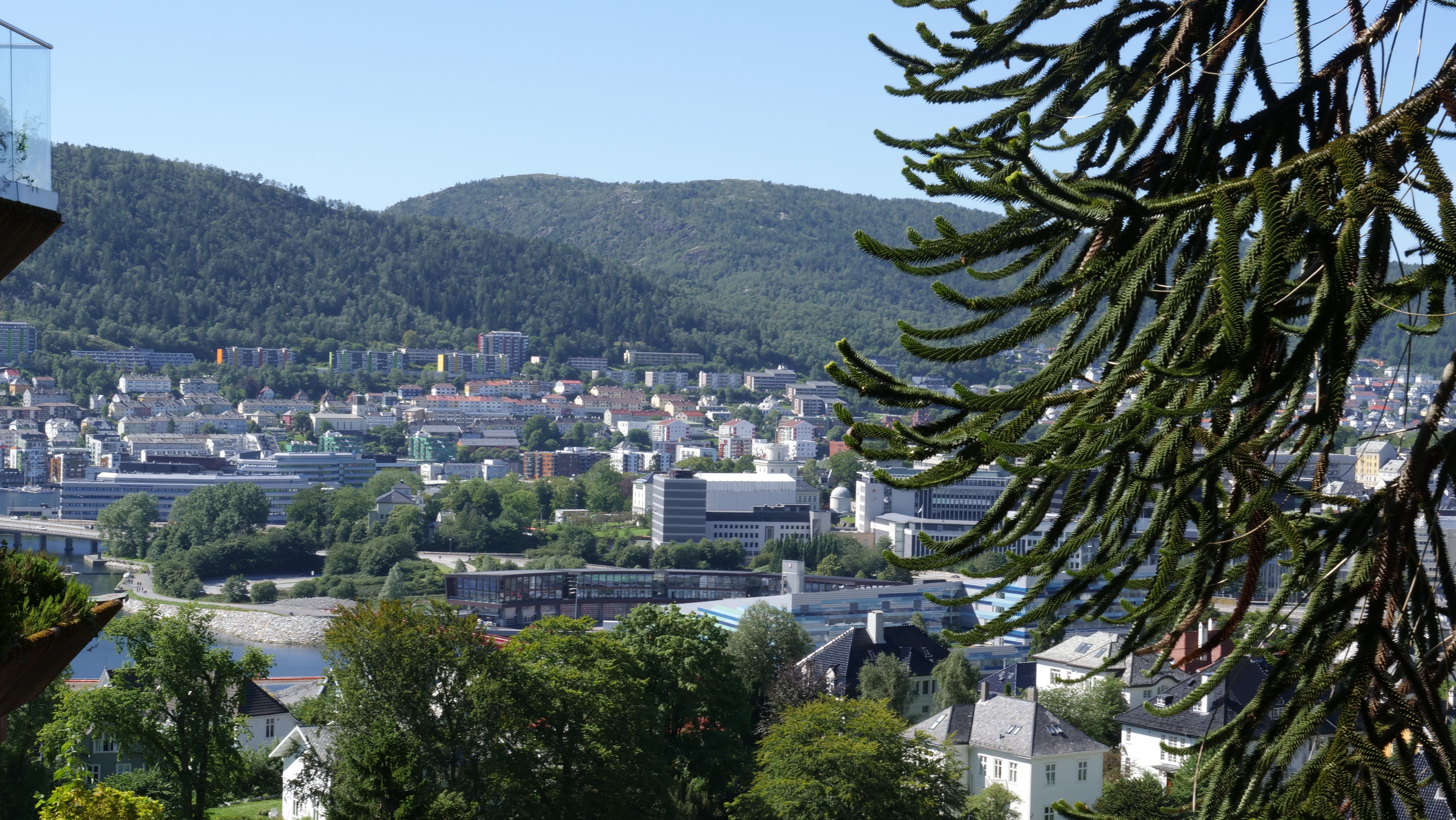 Utsikt fra Fjellsiden i Bergen.