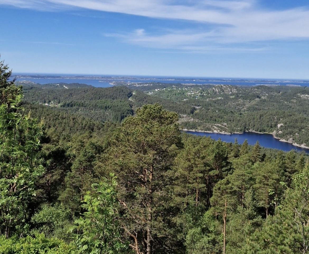 Utsikt fra Dronningen