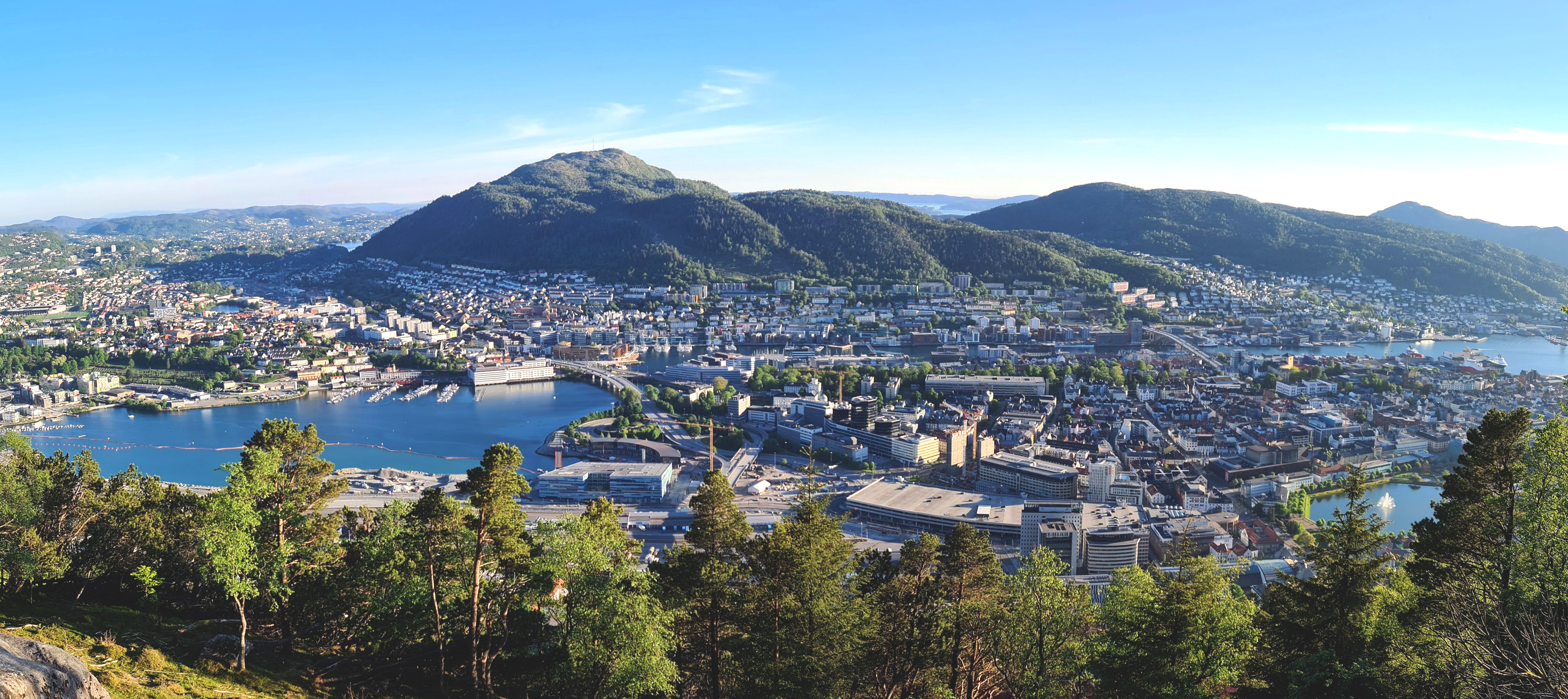View from Mount Fløyen.
