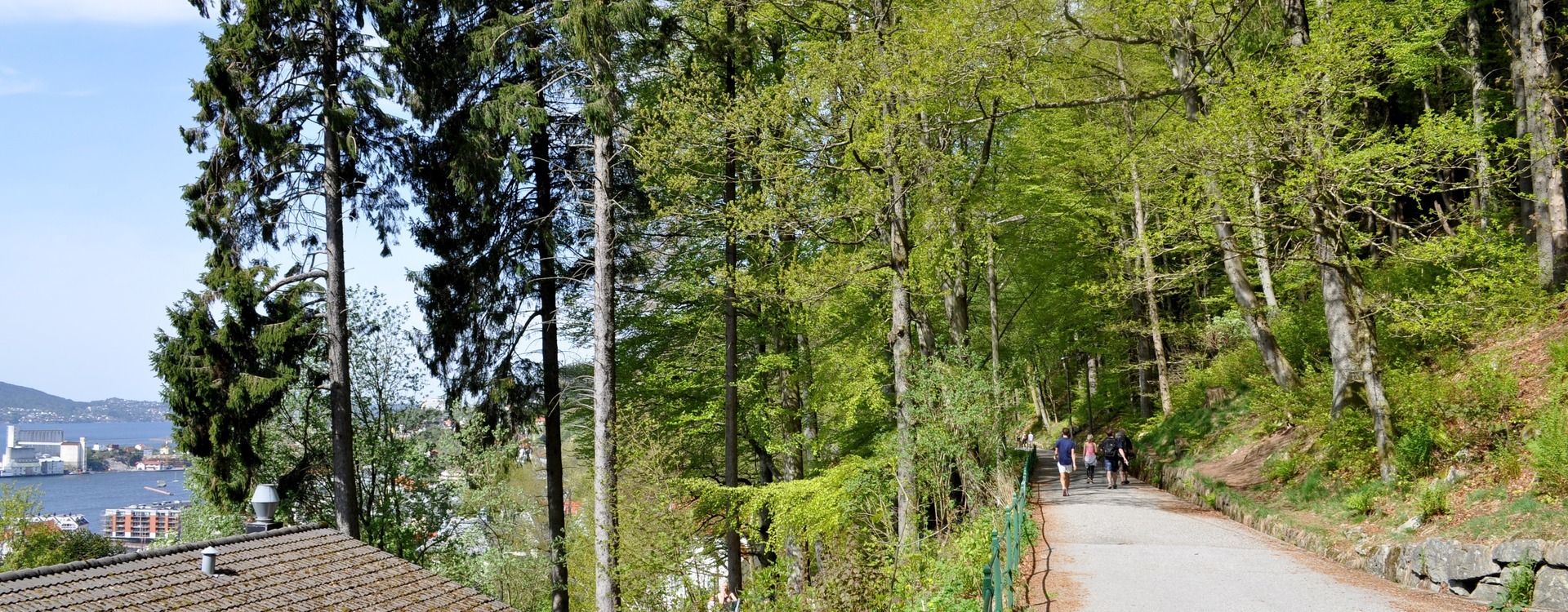 Parti fra fjellveien Turgåere på Fjellveien. Foto.
