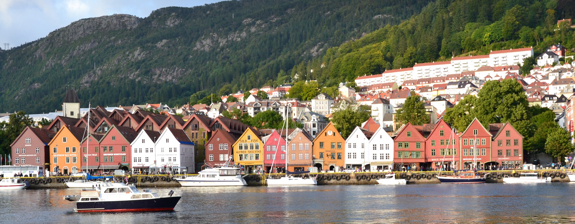 Bryggen i Bergen på våren. Det er sol, grønt og masse båter på vannet foran Bryggen. 