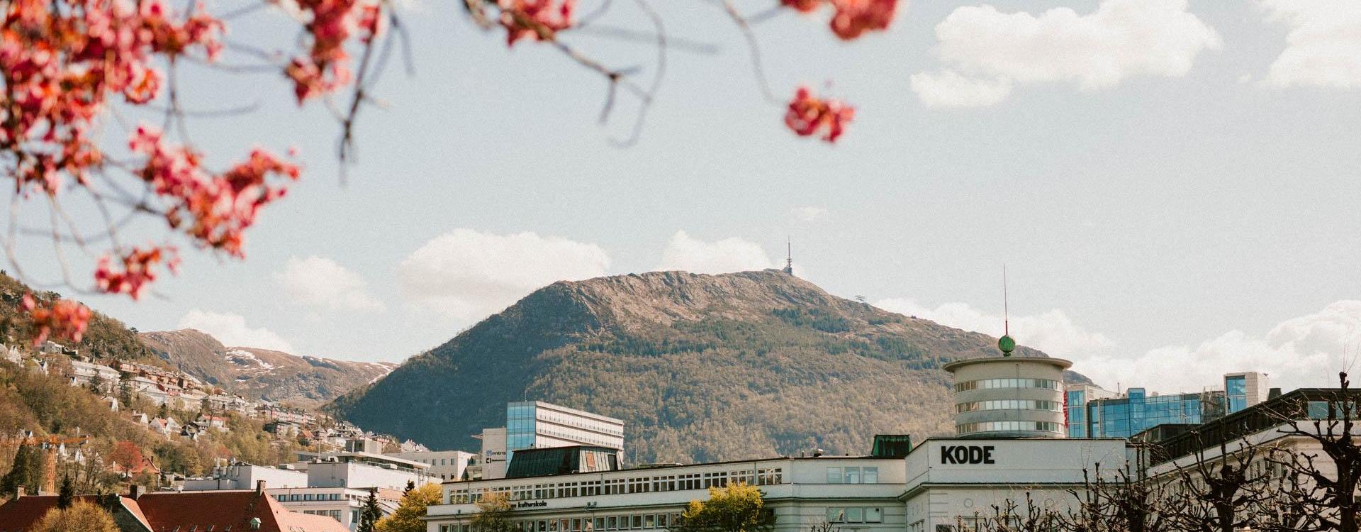 Photo: Study Bergen Overlooking Lille Lungegårdsvannet towards KODE and Ulriken. Photo