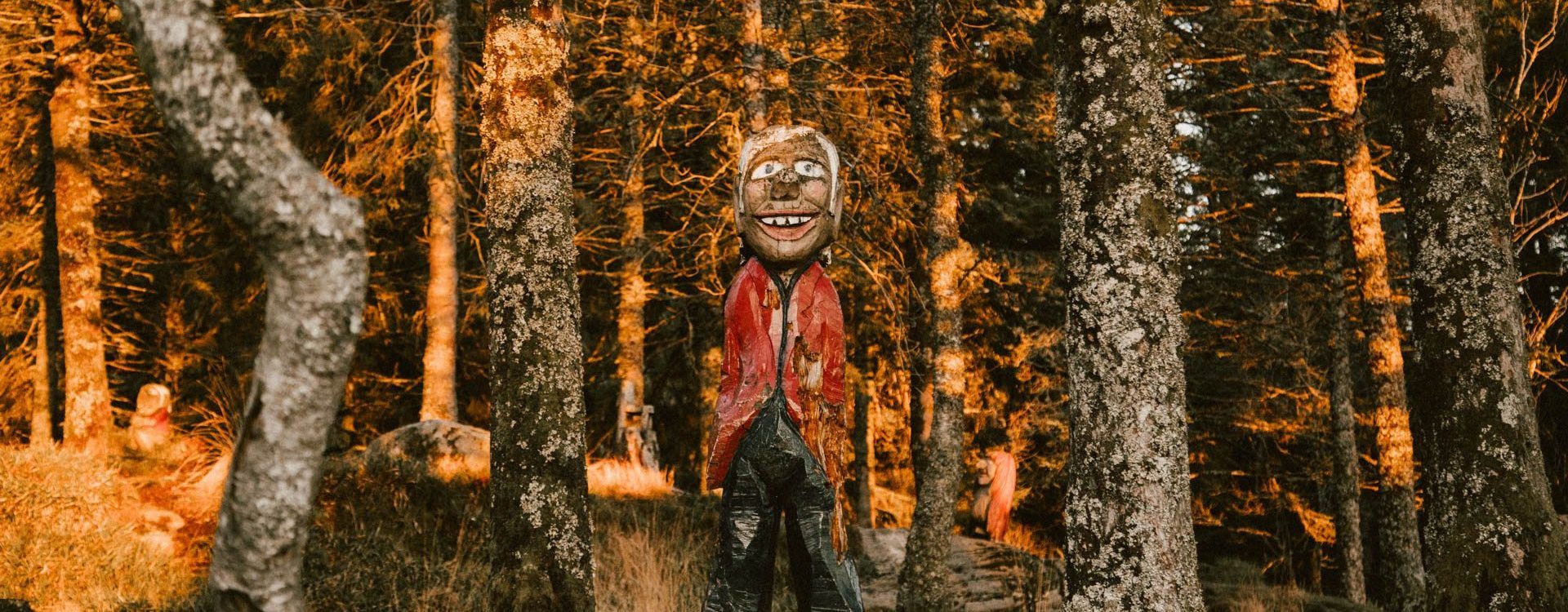Troll forrest in Fløyen. 