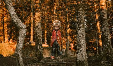 Troll forrest in Fløyen. 