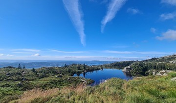 The view from the top on Mount Rundemanen. Photo